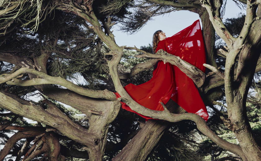 Hannah Frances: Nested in Tangles