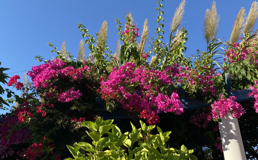 Seznam skladb za 6. 10. 2025, 7.00–11.00