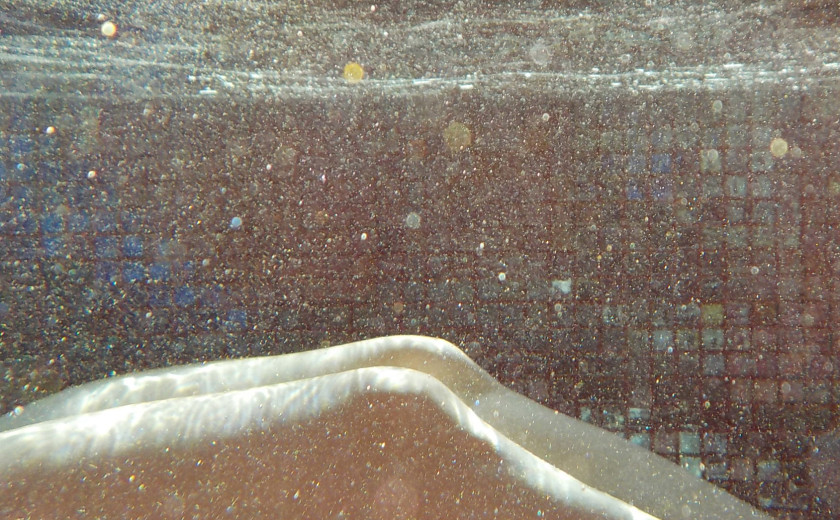 nosferatu3285 – White Into Black