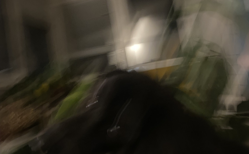 Seznam skladb za 14. 12. 2025, 14.00–18.00 (Nika Štrus)