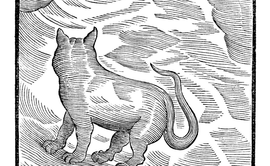 Valentina Magaletti & YPY: Kansai Bruises