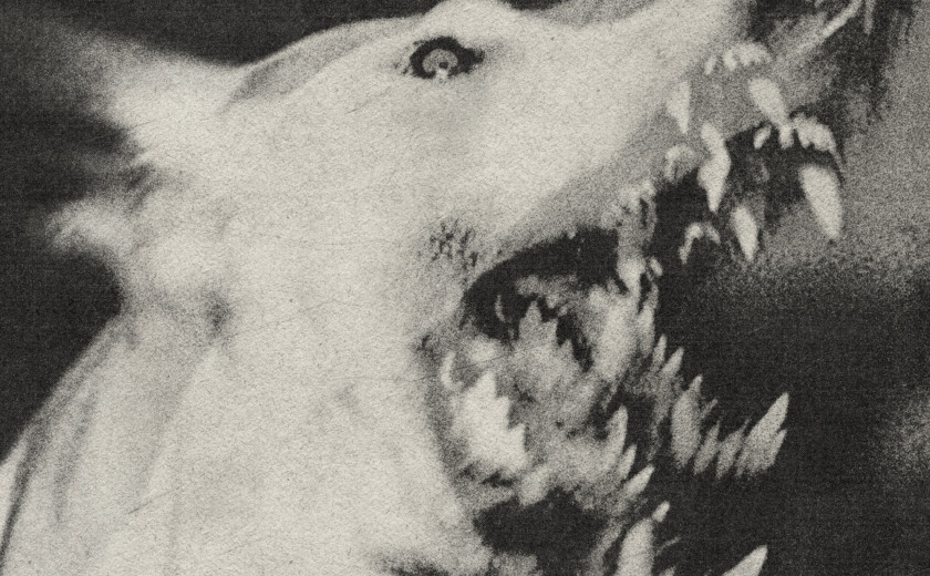 Naj tuja Tolpa bumov 2025 – Ciśnienie: [angry noises]