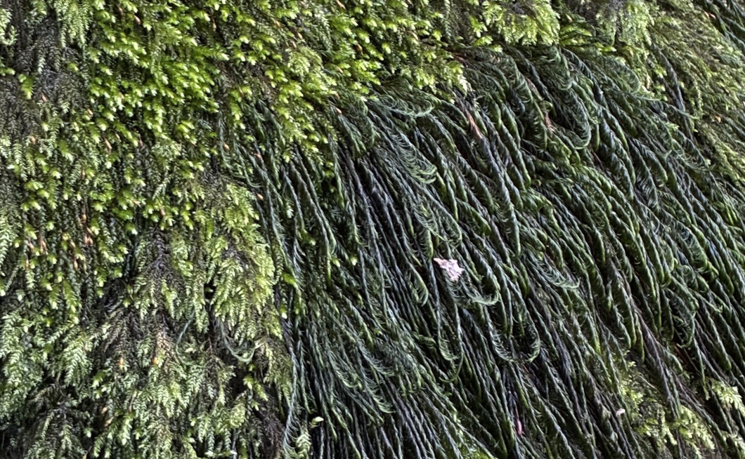 G2B (7.00–11.00) (UKK)