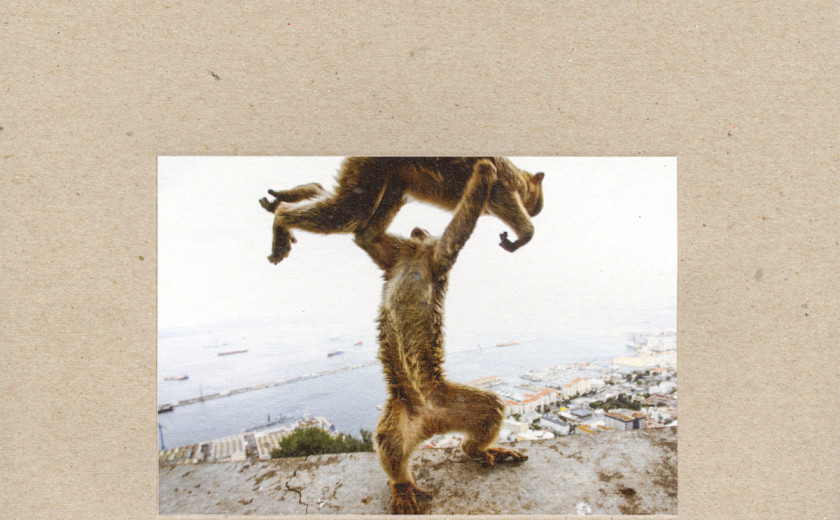 Shellac, King Buzzo, Mudhoney, J. Mascis