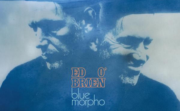 Ed O'Brien: Blue Morpho