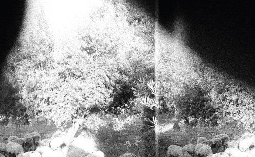 Godspeed You! Black Emperor: Asunder, Sweet And Other Distress