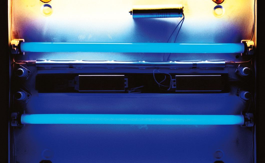 Hayvanlar Alemi: Twisted Souvenirs