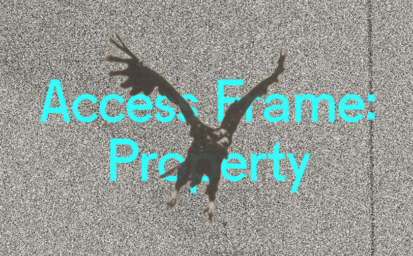 Access Frame: Property