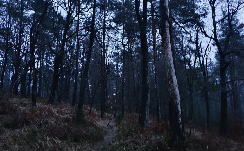 Petnajst zgrešenih klicev zime