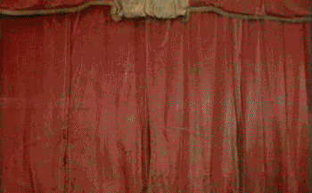 How to confuse a cat