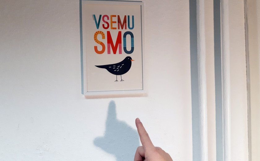 klopca pod svobodnim soncem, Aleš, zgodba o uspehu, avtorja Jean Nikolič & Rok Pibernik 