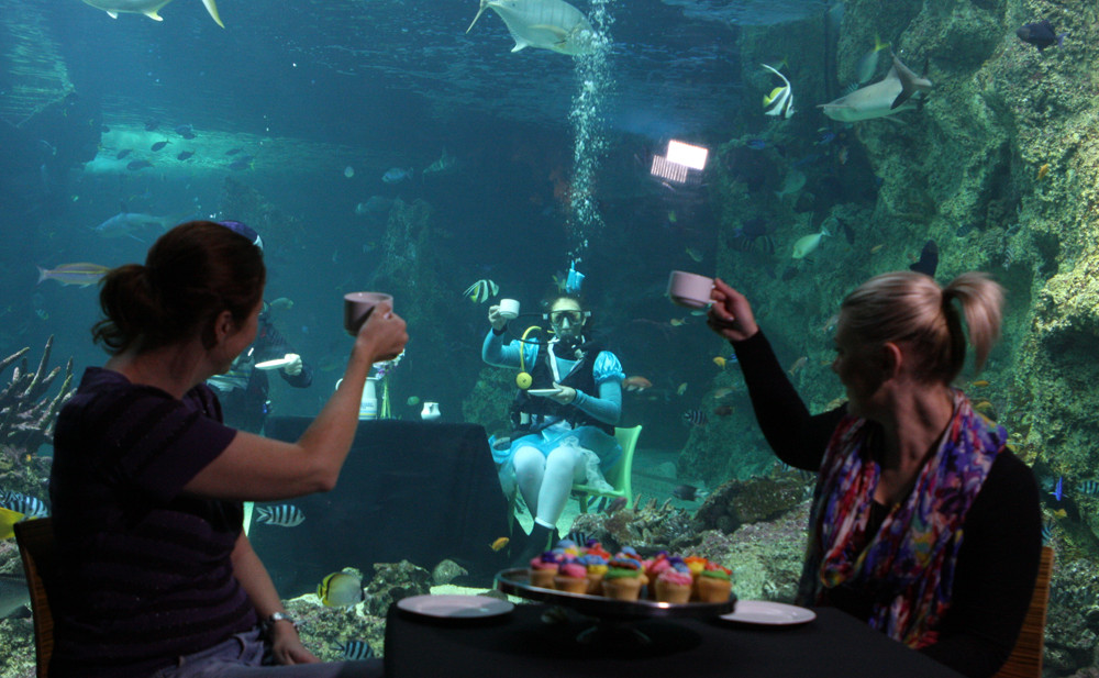 čaj se lahko pije tudi pod vodo