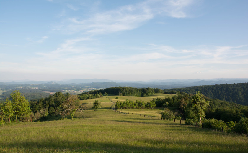 Seznam skladb za 23. 8. 2023, 11.00–15.00 (Nina Zajc)