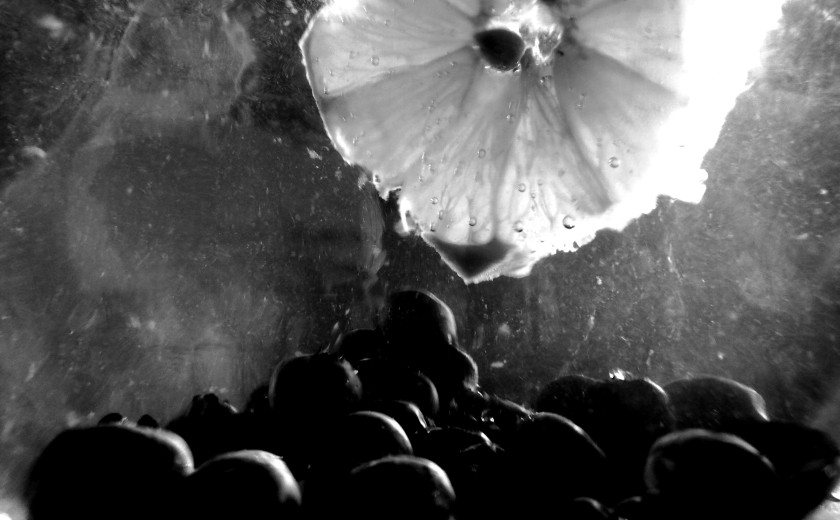 Seznam skladb za 29. 8. 2023, 15.00–19.00 (Mitja Hlupič)