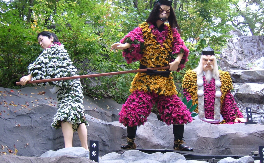 praznik krizantem. Niso sam za na grob, lahko so oblačilo