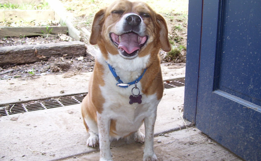 ta je neki ušpičil