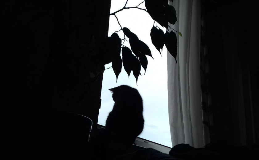 Seznam skladb za 21. 9. 2023, 15.00–19.00 (Nina Zajc)