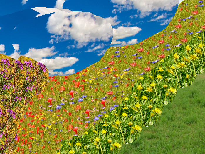  nizinski_ekstenzivno_gojeni_travnik