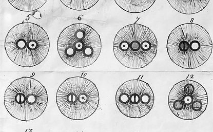 science and some shit bruv 